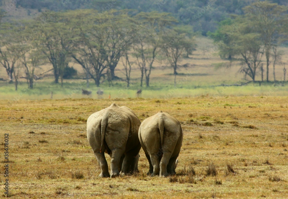 Obraz premium Urlaubsgrüße