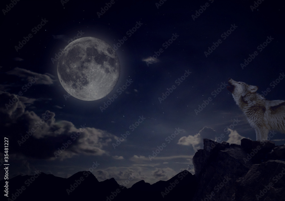 Obraz premium wolf howling on cliff at mid night with full moon