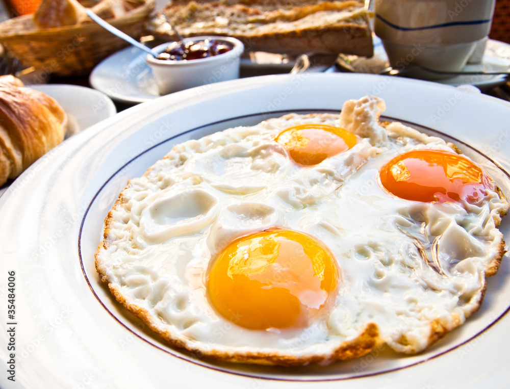 Prepared Egg - prepared egg under the sun Prepared Egg - prepared egg under the sun