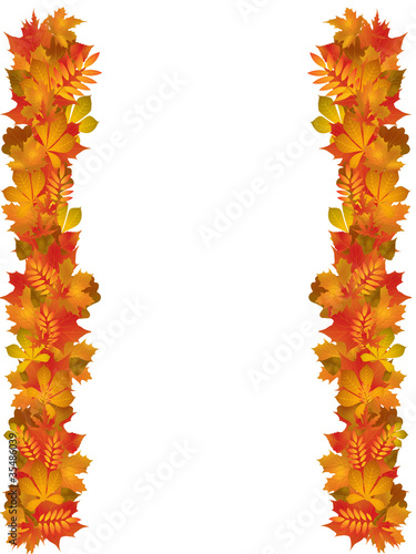 Autumn leaves border
