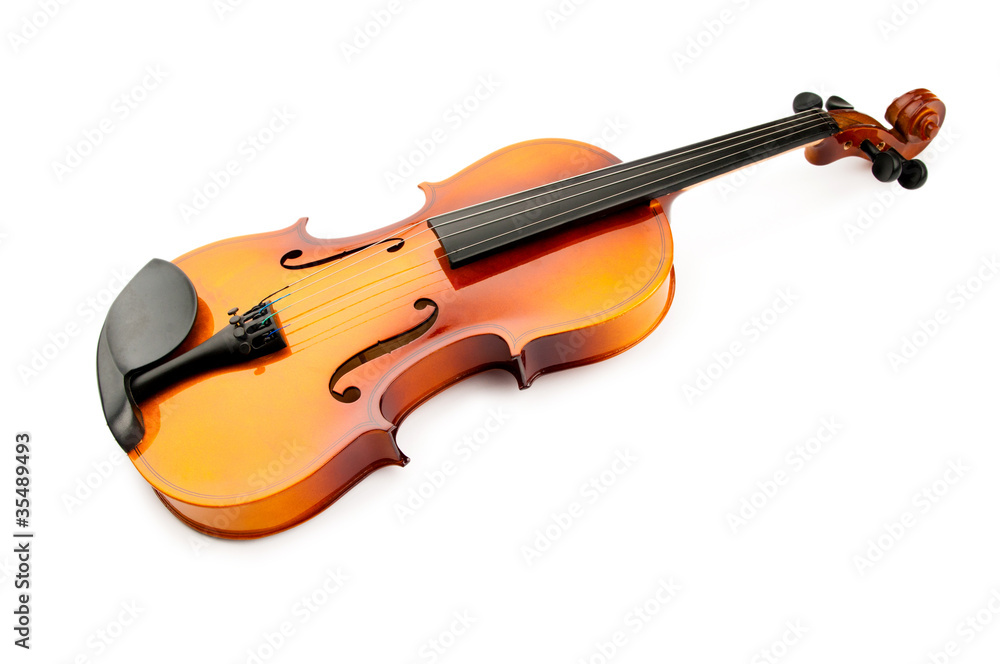 Violin isolated on the white Violin isolated on the white