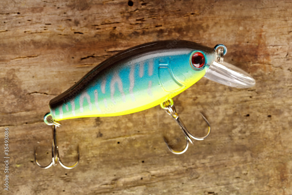 fishing lure fishing lure