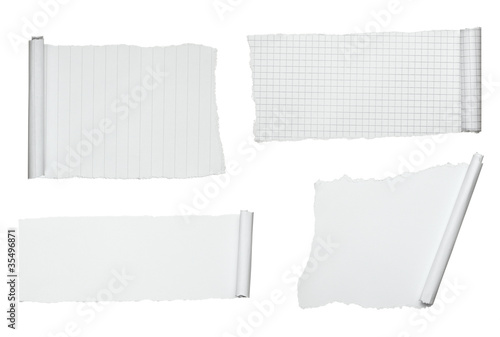 Wallpaper Mural white crumpled curled scroll note paper Torontodigital.ca