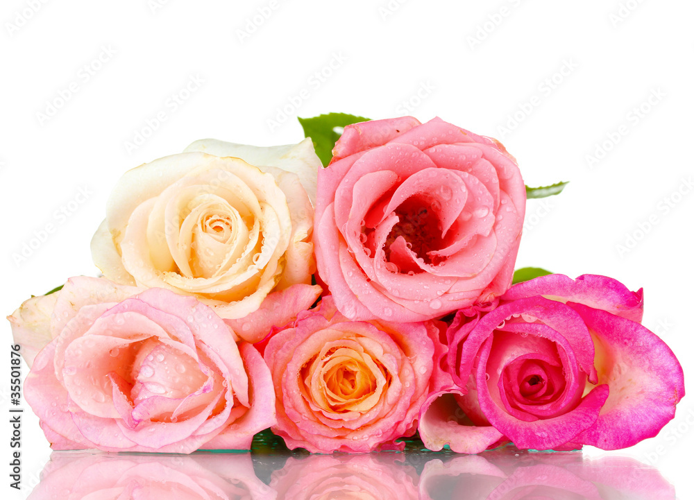 Bouquet of beautiful roses isolated on white