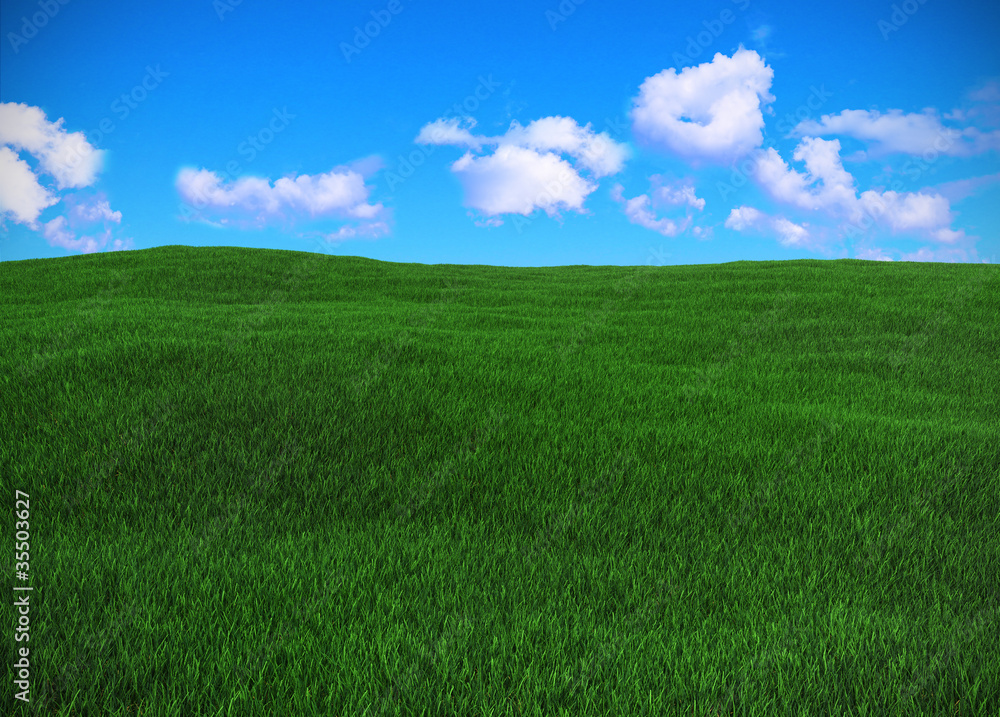 field of green grass and blue sky field of green grass and blue sky