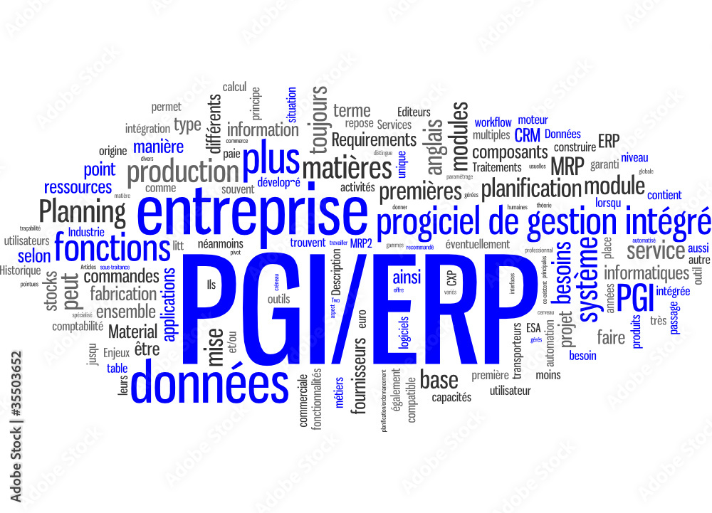 Progiciel de gestion intégré PGI ERP Stock Vector | Adobe Stock