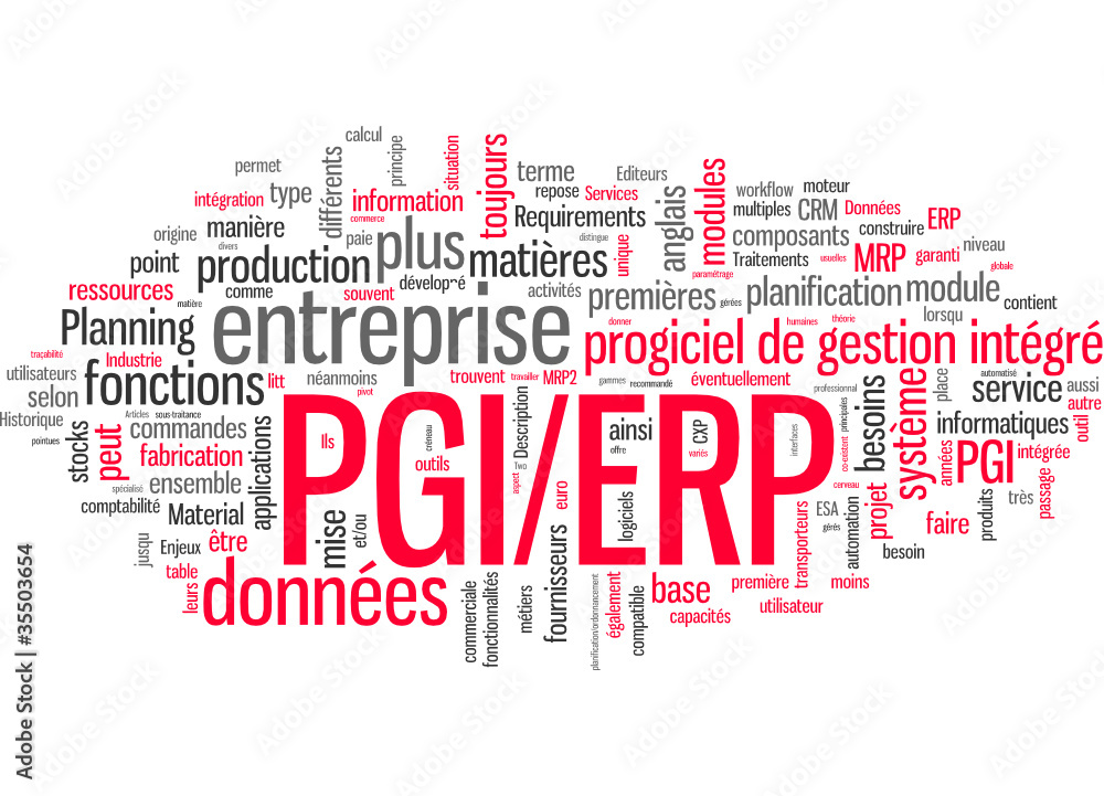 Progiciel de gestion intégré PGI ERP Progiciel de gestion intégré PGI ERP