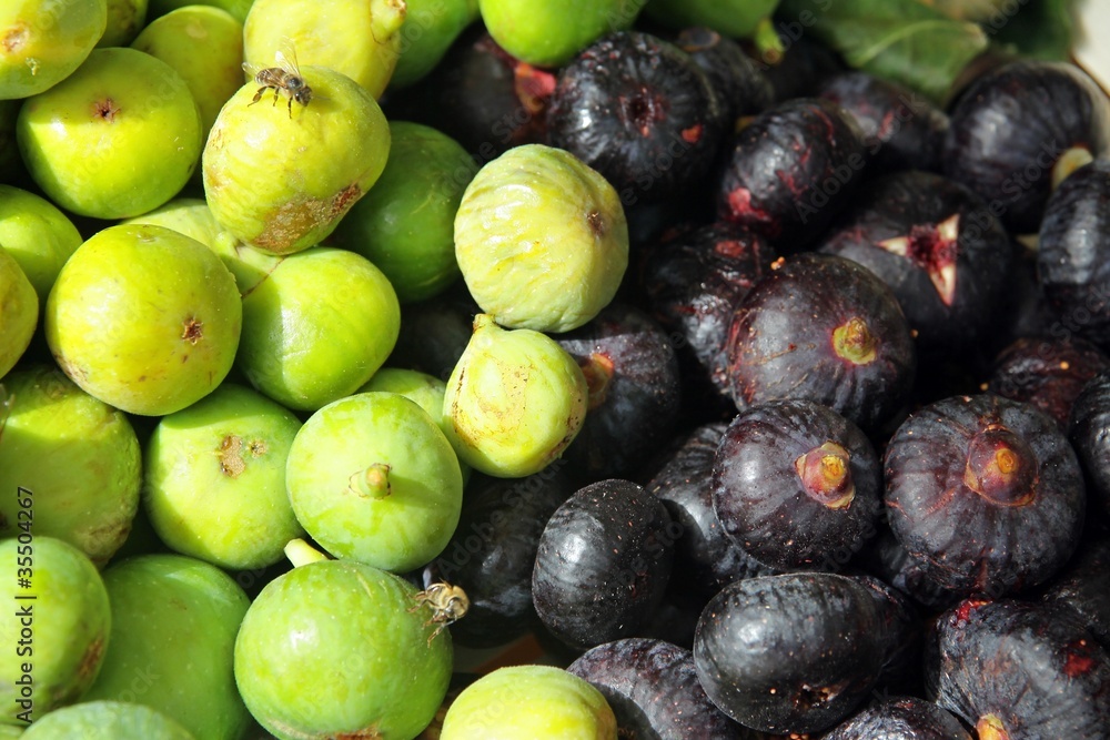 Obraz premium green and lila fresh figs