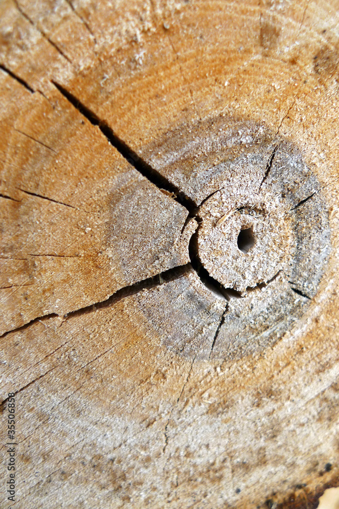 Risse im Holz Stock Photo | Adobe Stock