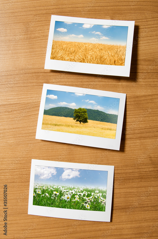 Fototapeta premium Picture frames with nature photos