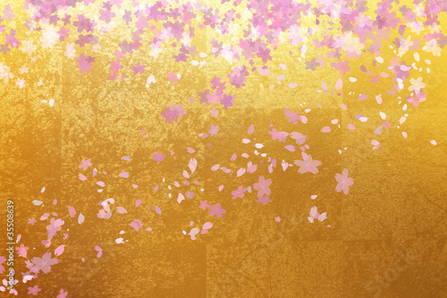 Photos 金屏風と桜のイメージ