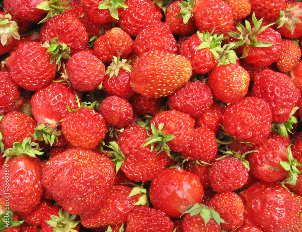 Strawberry close up - berry background Strawberry close up - berry background