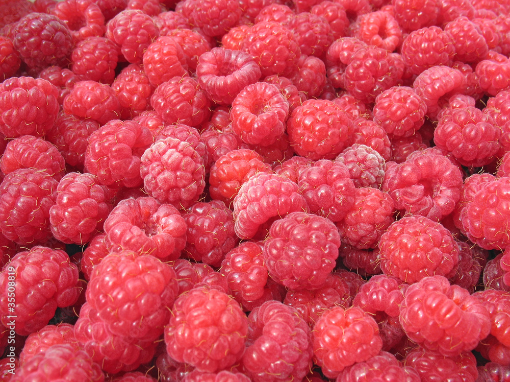 Close up of raspberry Close up of raspberry