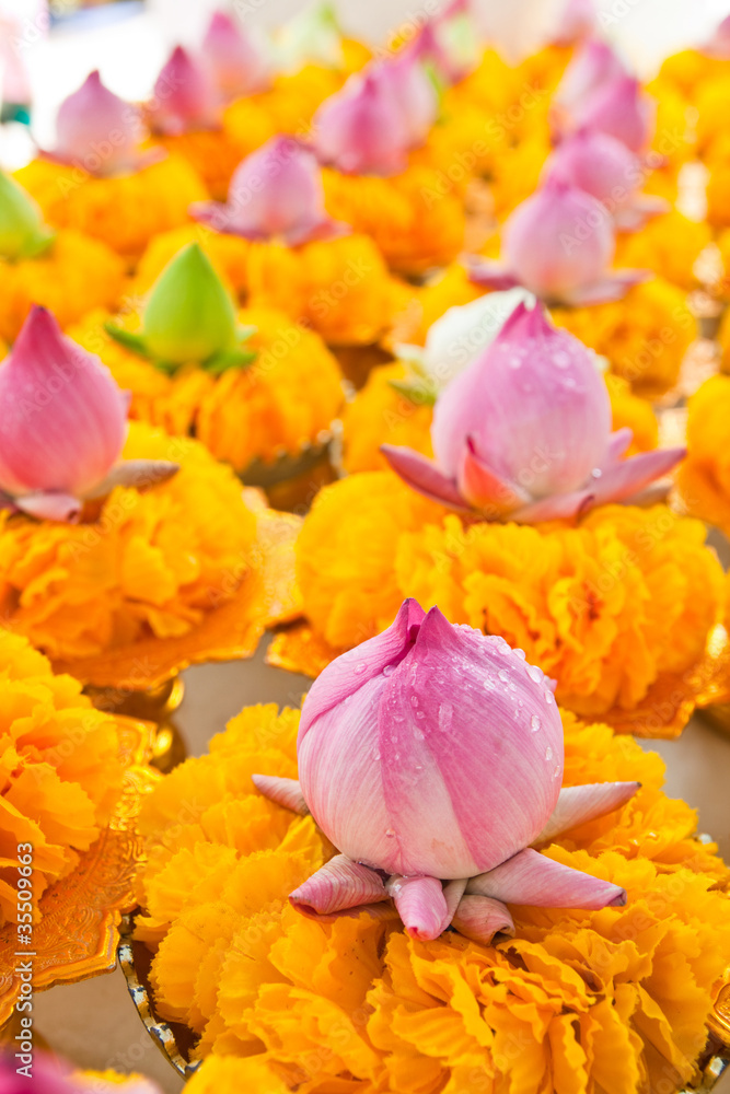 Row of lotus and yellow flower garlands on tray with pedestal in