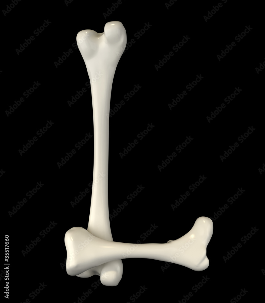 Bones Font Bones Font