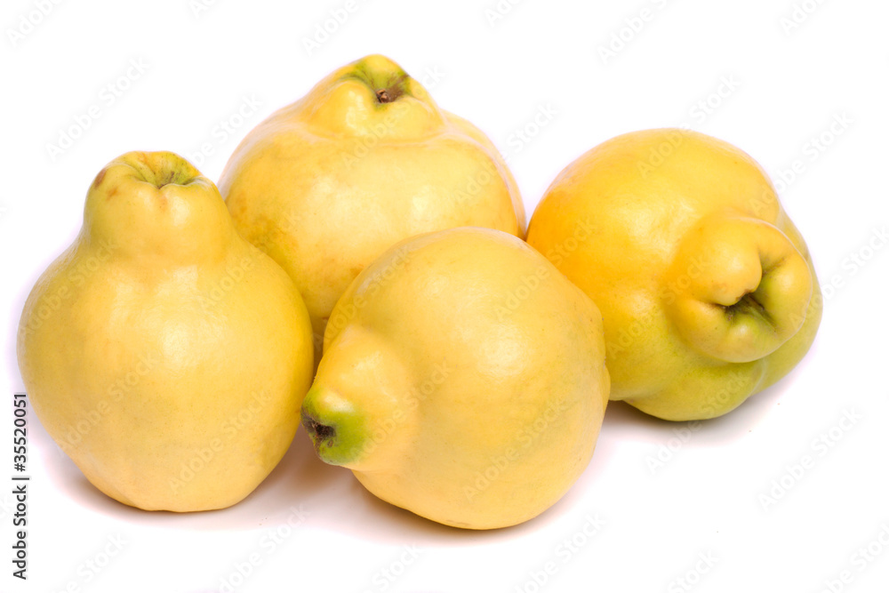 fresh quince fruit