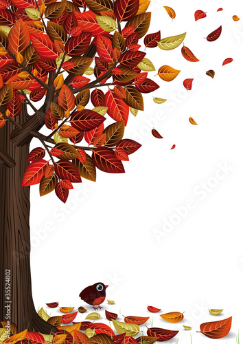 Arbre et feuilles d’automne