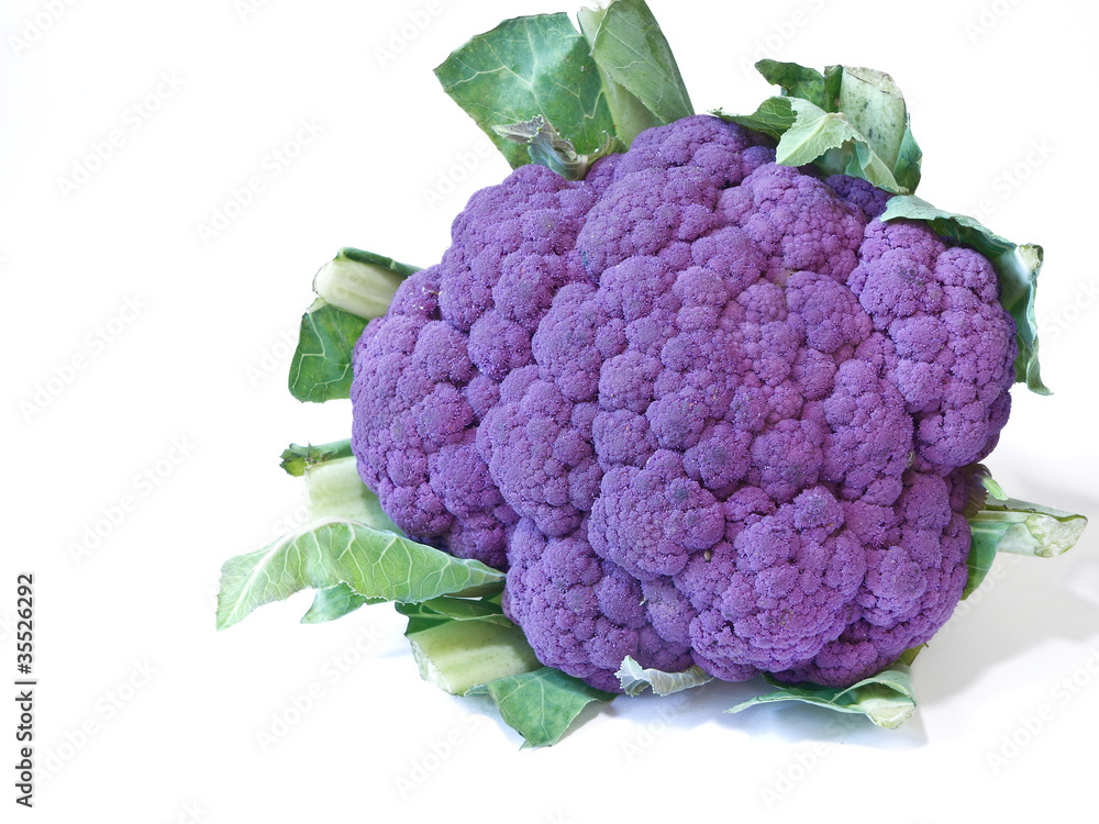 Lila Blumenkohl - purple couliflower Lila Blumenkohl - purple couliflower