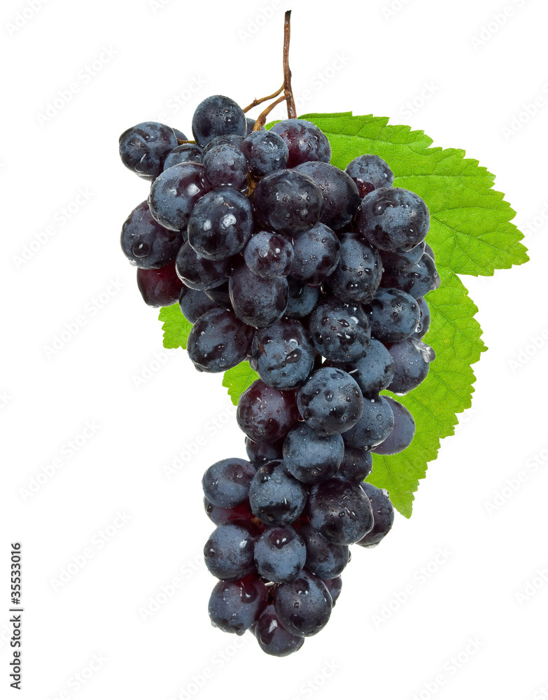 Fresh black grapes with leaves Fresh black grapes with leaves