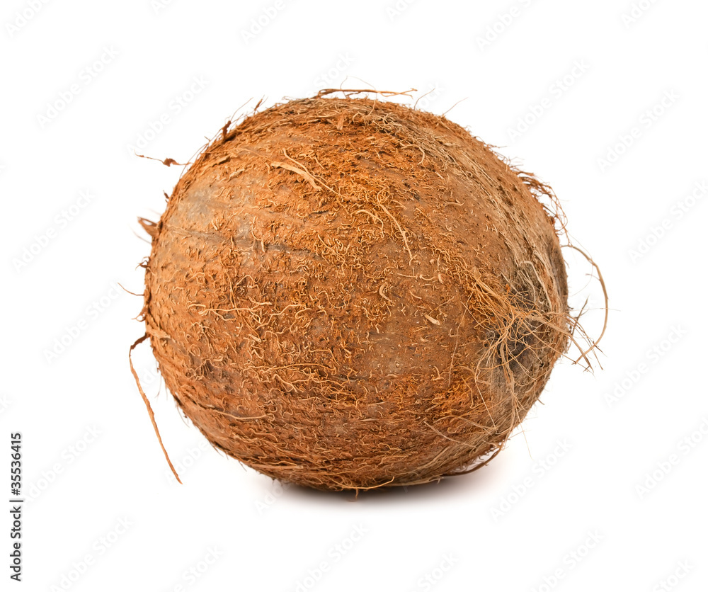 Brown hairy coconut Brown hairy coconut