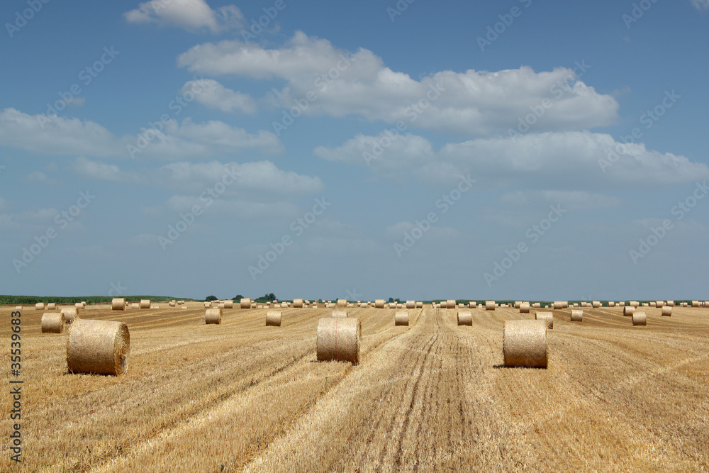 straw bale field