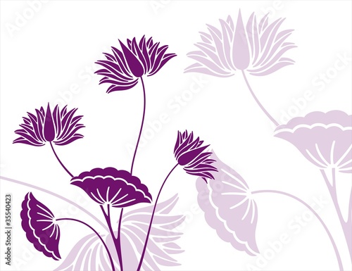 Fototapeta Naklejka Na Ścianę i Meble -  water lilies, India