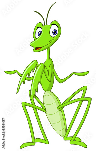 Praying mantis