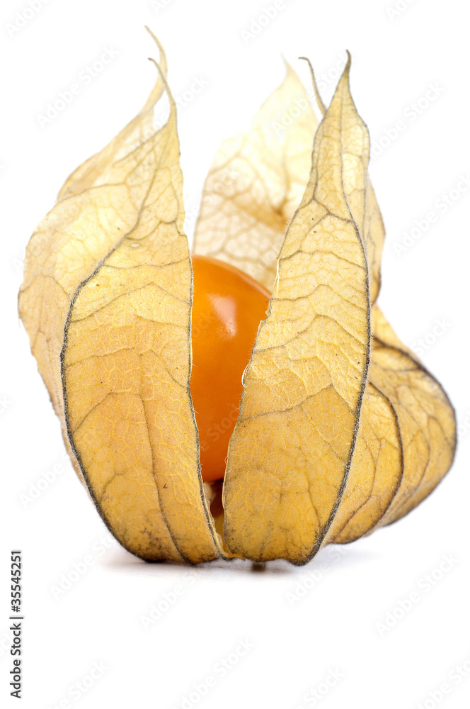 Physalis fruit Physalis fruit