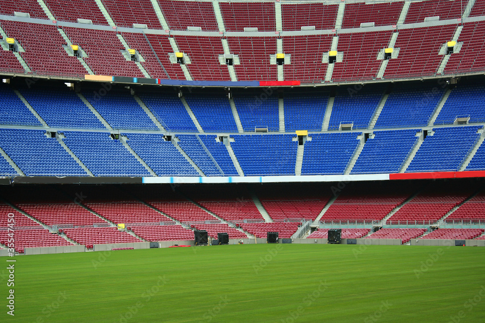 Fototapeta premium green grass