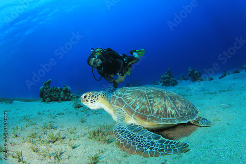 Scuba Diver and Green Sea Turtle