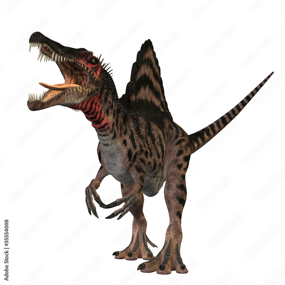 Fototapeta premium Spinosaurus 01