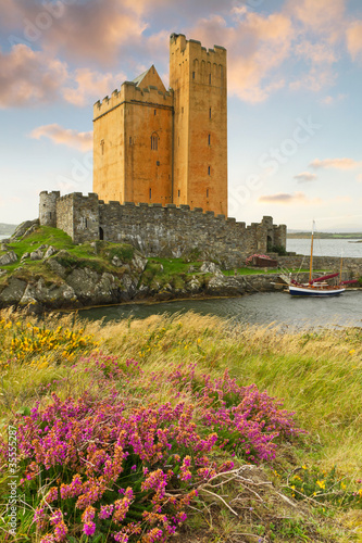 Kilcoe castle on the coast of Co. Cork, Ireland photo