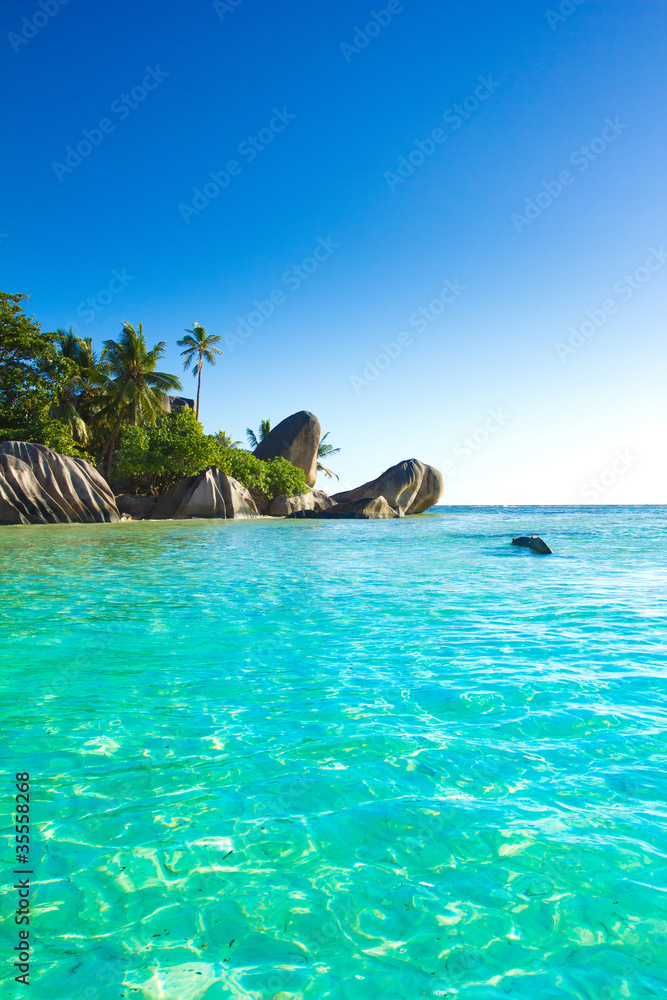 Fototapeta premium Summer Paradise Beach