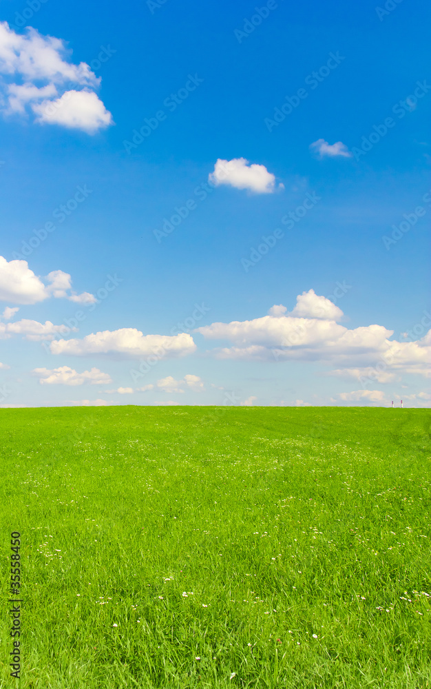 Outdoor Landscape Field