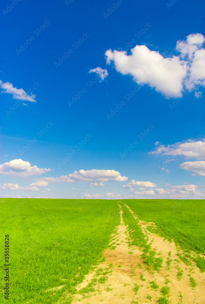 In a Field Through the Green Way In a Field Through the Green Way