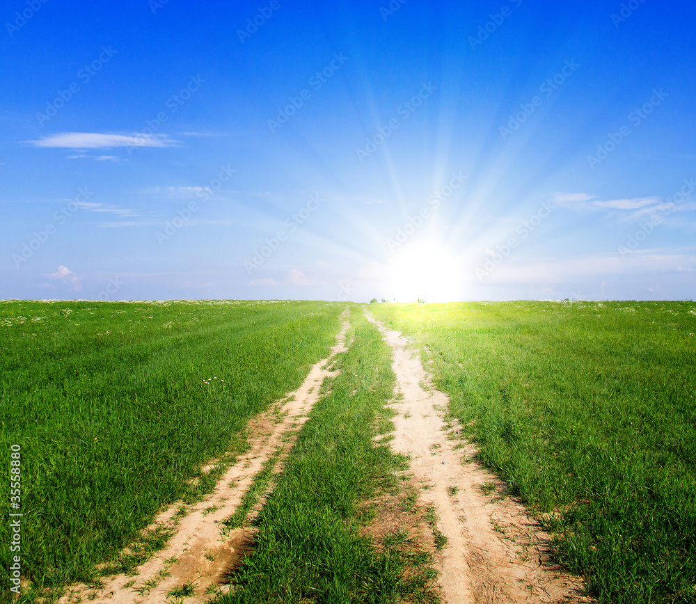 Sunrise in a Grassland Way Sunrise in a Grassland Way