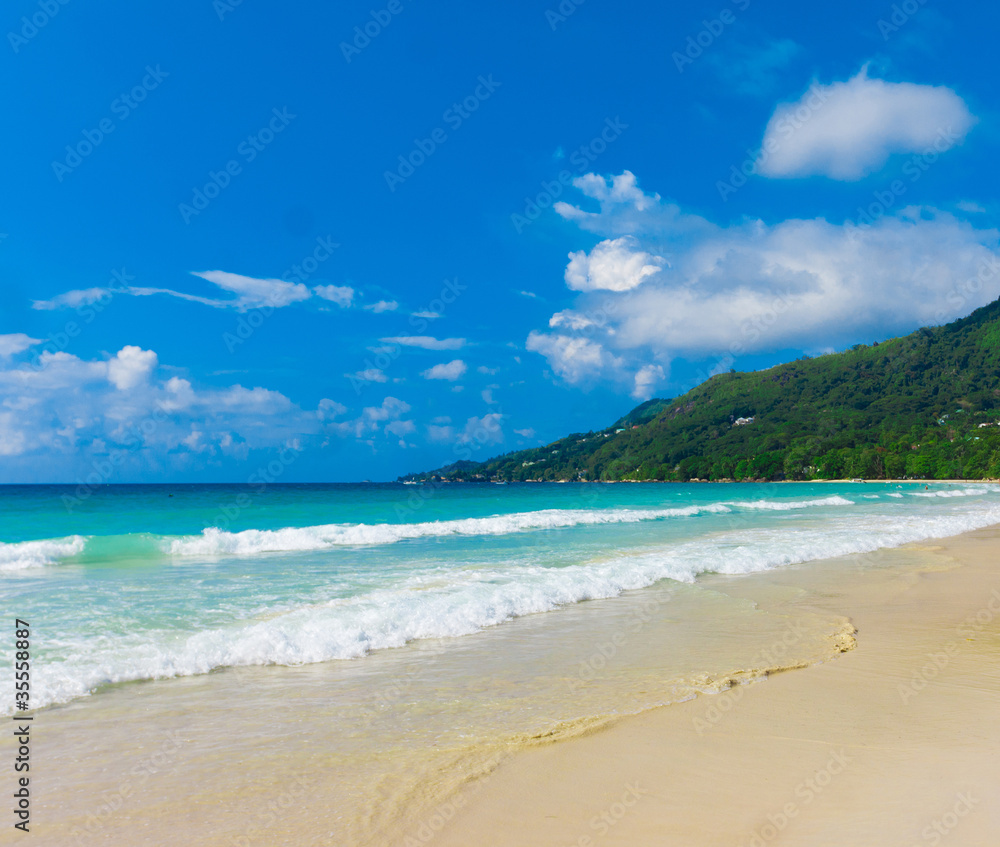 Landscape Palms Shore