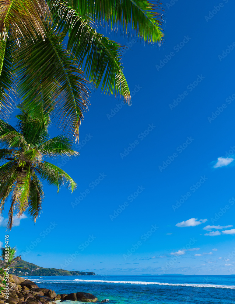 Fototapeta premium Scene Overhanging Sea