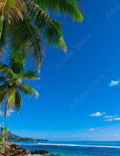 Scene Overhanging Sea