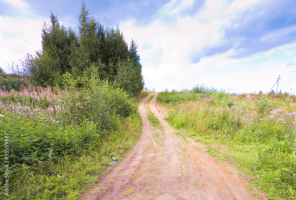 Fototapeta premium Through the Green Way Road