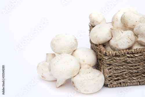 Fresh champignon mushrooms in rustic basket isolated on white