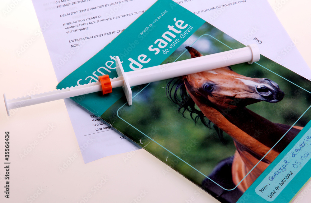 cheval, carnet de santé Stock Photo | Adobe Stock
