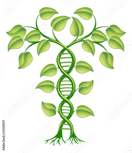DNA plant concept