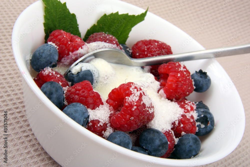 fresh raspberries and berry with cream and sugar on a bowl fresh raspberries and berry with cream and sugar on a bowl