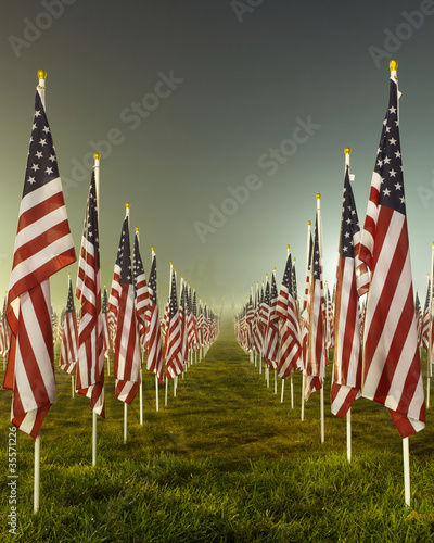 Flags in the Healing Fields for 9/11