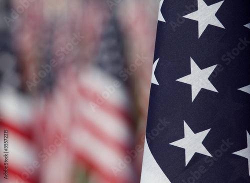 Flags in the Healing Fields for 9/11