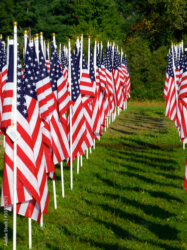 Flags in the Healing Fields for 9/11