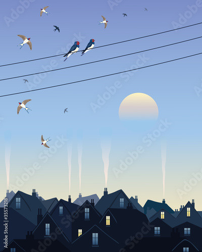 swallows leaving the city