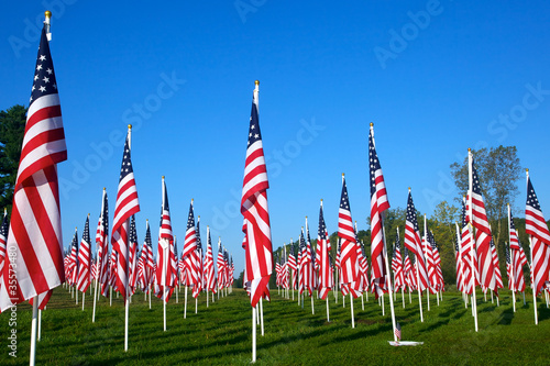 Flags in the Healing Fields for 9/11