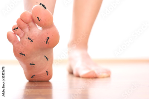 Slika na platnu Foot stepping ant chicle diabetes leg